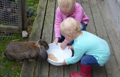 Residence Bannwald - Photo 5