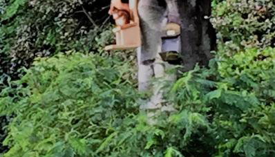 Parkwater Cowes - Foto 3