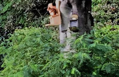 Parkwater Cowes - Foto 3