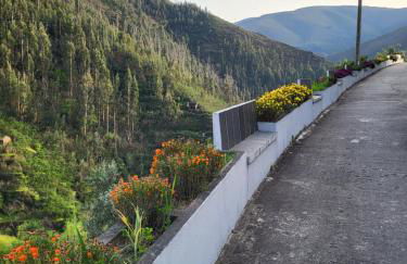 Free Spirit - Photo 22