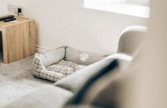 Charming Forfar House and Hot Tub - Foto 29