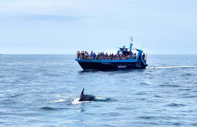 Barco por las cuevas de Benagil + Avistamiento de delfines - Foto 4