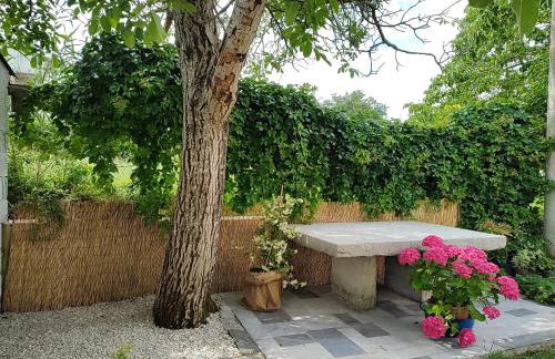 Spacious apartment QuAdria near Motovun - Foto 2