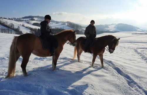 Gschwendnerhof Reitberger-Brandl - Foto 48
