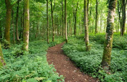 Luxury Off-Grid Cabin with Outdoor Bath in Scotland - Foto 8