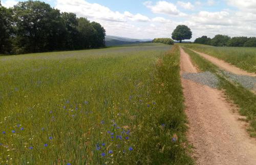 Haus am Römerstich - Foto 14