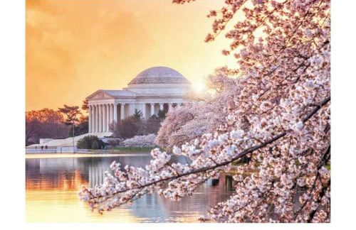 Luxe Penthouse with Private Parking & Rooftop w TV - Foto 12