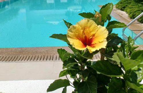 Thassos OLIVIA RESORT - Foto 37