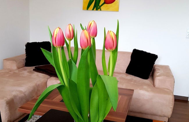 Apartment on the Elbe Ferry - Apartment for 2 - 3 People - Photo 1