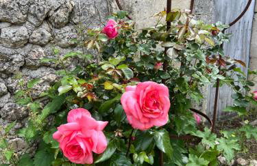 Le Loriot - Foto 9