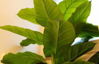 Desiree Luxury House- vasca idromassaggio - Foto 47