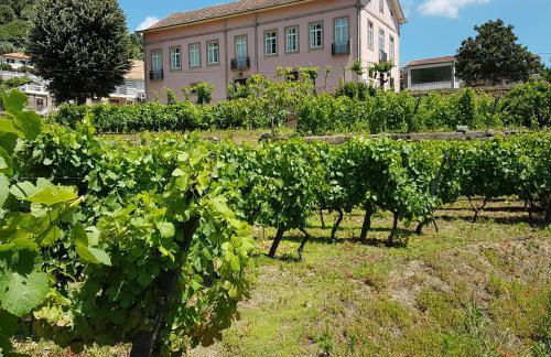 Quinta Barqueiros D'Ouro - Casa da Música - Photo 48