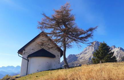 CAMPO BASE CADORE con parcheggio auto e garage moto - Foto 22