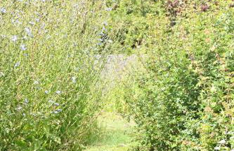 Bluebell Cabin - Foto 43