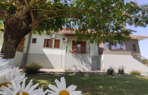 Zisis Garden Studios - Photo 40