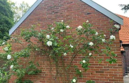 Ferienwohnung Kastanienhof, 35165 - Foto 11