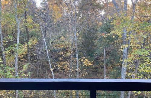 Ozark A-Frame -Dogwood Den - Foto 7