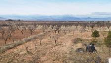 Cortijo Baul - Photo 3