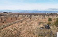 Cortijo Baul - Photo 3