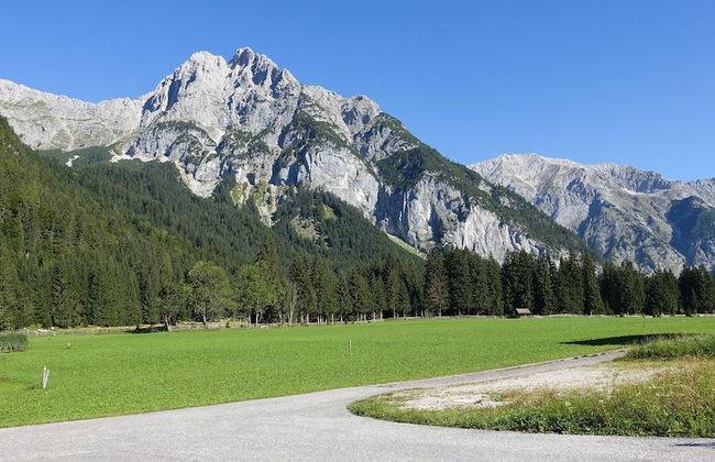 Lehner Schlossl With Whirlpool and Sauna - Foto 26