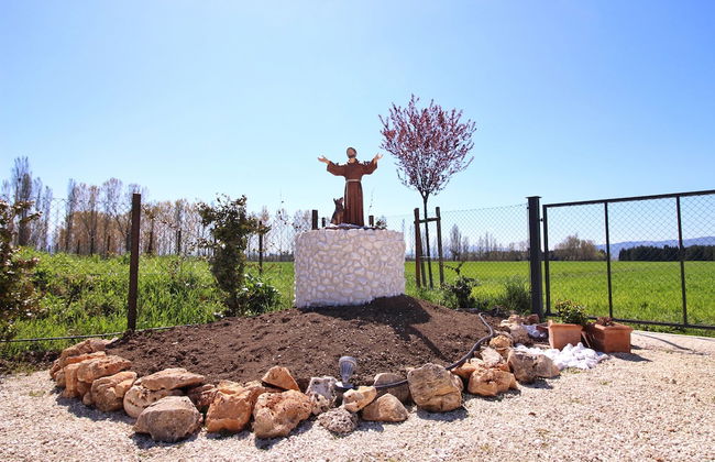 Il Podere di Francesco - Foto 66