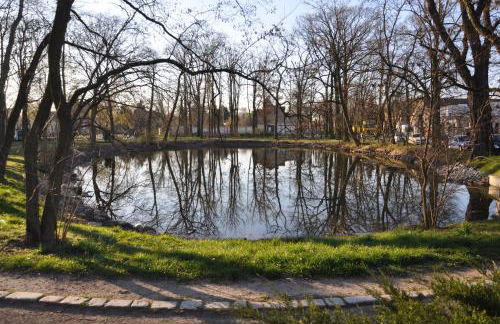 GardenOasisBerlinAirport - Foto 20