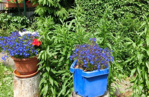 Ferienhaus in Cattenstedt Harz mit Garten - Foto 28