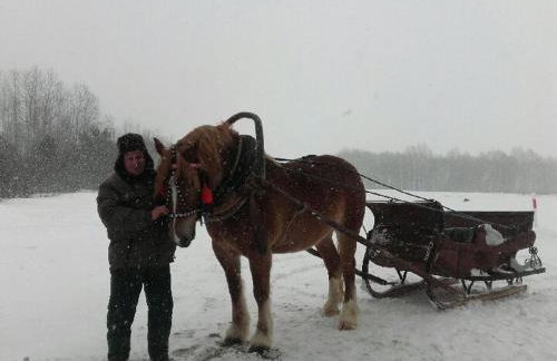 Dom Na Wsi ,, Koszelówka " - Foto 42