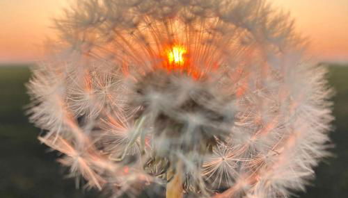 Ferienhaus im Gänseried - Foto 2
