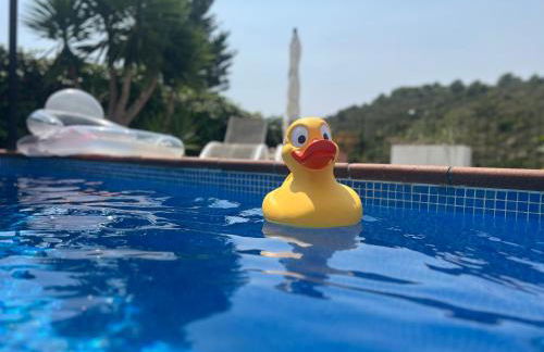 Estudio nuevo zen - Foto 50