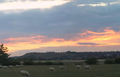 Spacious Cottage With Sauna Looking out on Astonishing Grasslands - Photo 64