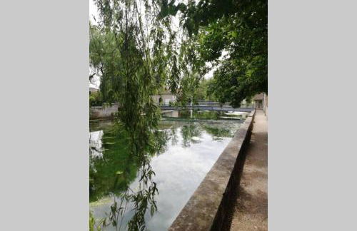 Maison accueillante - Foto 14