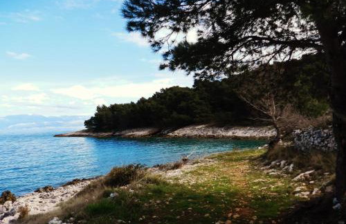 House Natale - Photo 26