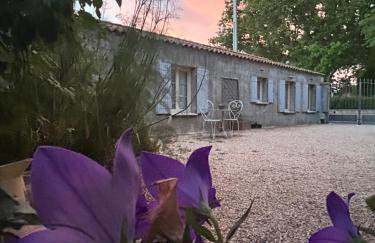 LaPetite Maison Abigail, Peaceful home in Avignon - Foto 49