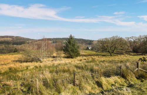 Aberserw Cottage - Foto 16