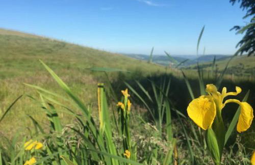 Luxury Lodge In The Treetops - Foto 12