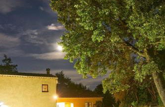 "The Oak’s Villa" Poolspa Nature - Foto 47