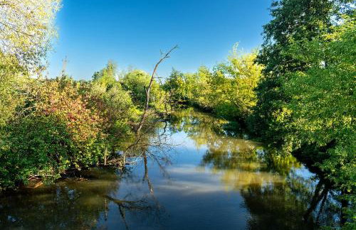 Agroturystyka domki nad rzeką Bałtów kajaki rowery klima basen ryby full - Foto 40