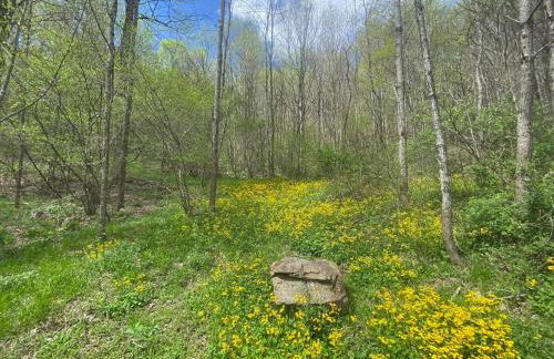 Romantic Getaway or Family Vacay with Mountain Views & Hot Tub - Foto 21