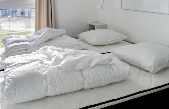 Holiday Home in Wendtorf - Foto 27