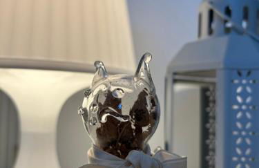 La casa sul tetto - Foto 23