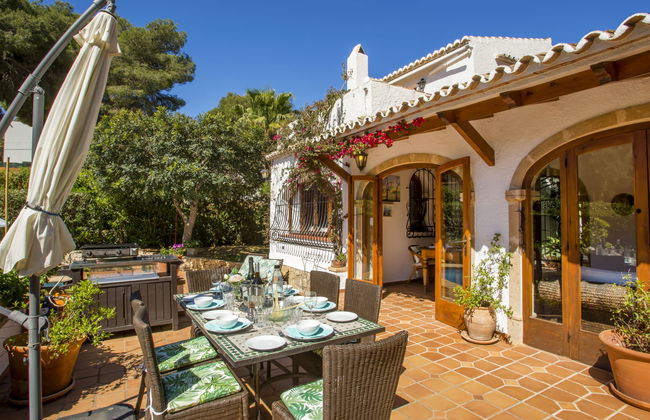 Mirlo Canta - Foto 24