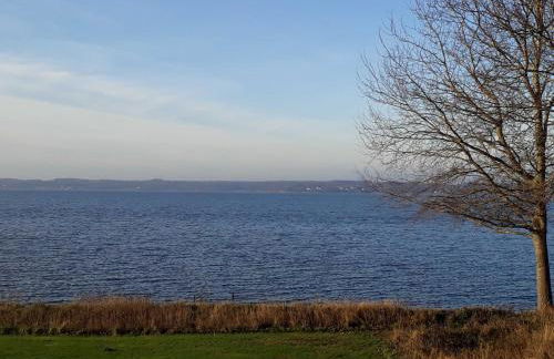 Ferienwohnung Wetterfrosch - Foto 38