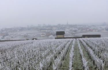 Au 8 à Meursault, Magnifique maison Bourguignonne au pied des vignes, jardin, places de parking privée - Foto 41