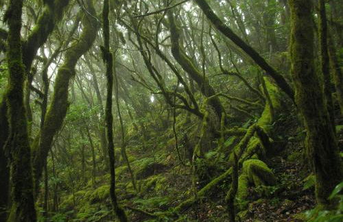 Santa Cruz de Tenerife Toscal - Foto 42