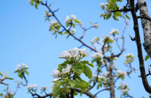 Bühlbauernhof - Foto 3