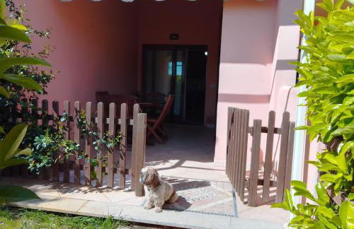 Bilo Noel - Photo 10