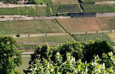 Rheinufer am Hindenburgpark - Foto 12