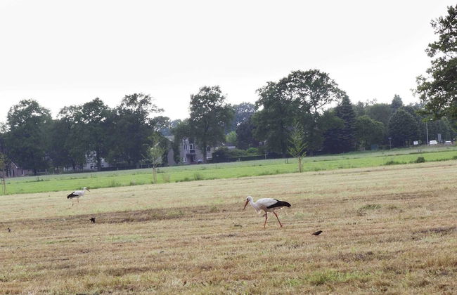 Charming Lodge in Staphorst With Pool Access - Foto 46