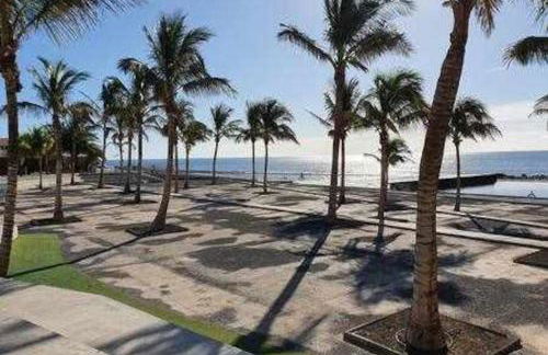 ALBATROS 1L Tres habitaciones - Foto 25